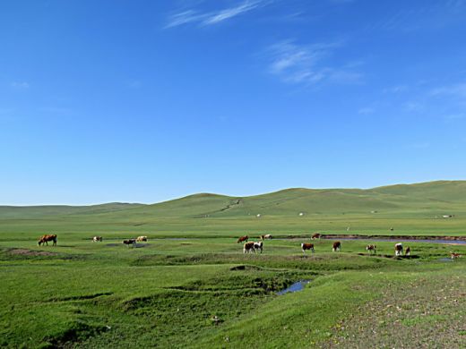 26080410105774321.jpg
