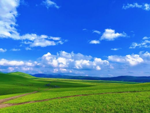25063014335719583.png