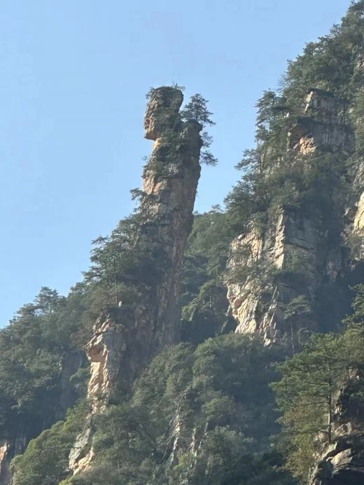 26081310105920971.jpg